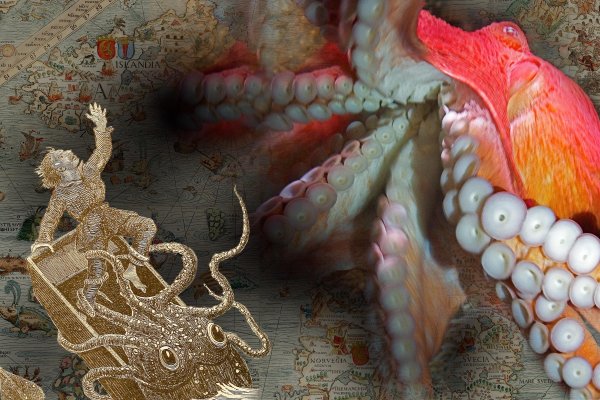 Kraken ссылка для тору