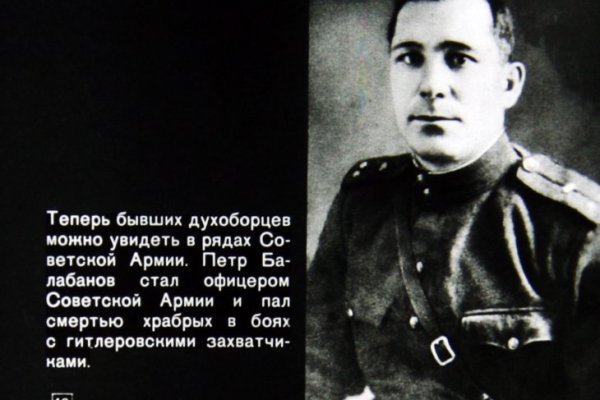 Кракен зеркало onion